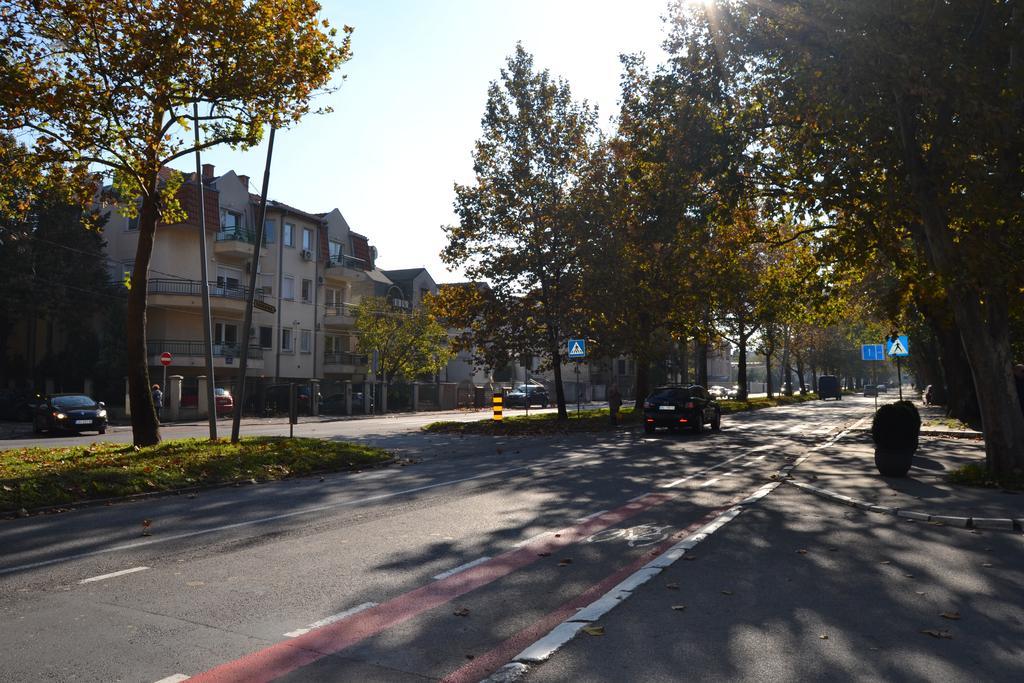 בלגרד Villa K Apartments חדר תמונה